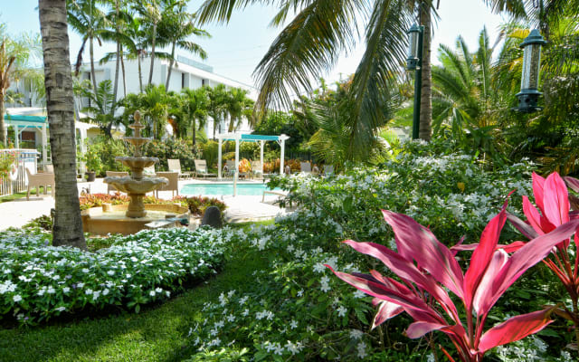 Thomass Inserat auf misterb&b - Entdecken Sie einen üppigen Garten 🌺🌴 Schlendern Sie auf dem Weg zum glitzernden Pool an leuchtenden Blüten und einem bezaubernden Springbrunnen vorbei. Umgeben von sich wiegenden Palmen und tropischem Grün, fühlt sich diese friedliche Umgebung wie Ihr eigener privater Rückzugsort an. ✨