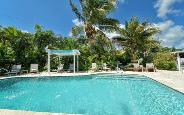 Thomass Inserat auf misterb&b - Genießen Sie die Sonne in dieser tropischen Oase ☀🌴 Ein glitzernder Pool, umgeben von üppigen Palmen und gemütlichen Liegestühlen, ist der perfekte Ort zum Entspannen, Erfrischen und Auftanken. Ob Sie nun schwimmen, ein Sonnenbad nehmen oder einfach nur die Aussicht genießen.
