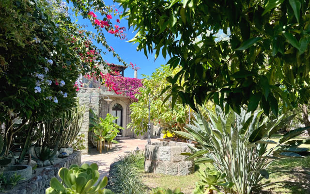 Il Pozzo d'Ischia "Sólo Adultos" - Monolocale