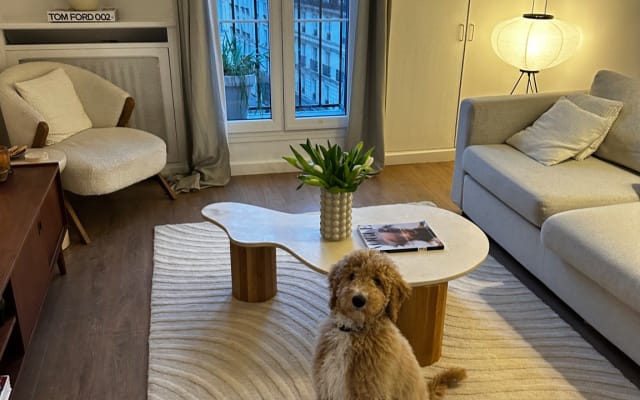 Bel appartement moderne à Paris
