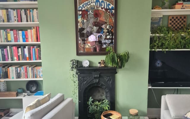 Cosy Zone 1 room with a beautiful London park view