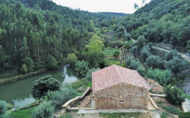 Experience in the middle of nature