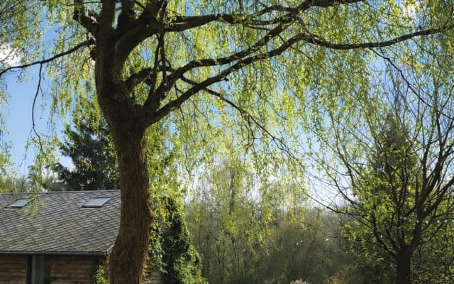 Small charming house in Normandy in the countryside near the sea - Picture 9