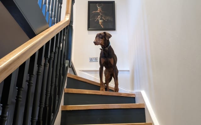 Anuncio de Joe en misterb&b - Pasillo - tenga en cuenta que esta casa tiene escaleras