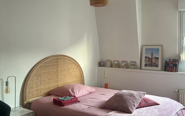 Nice room near LILLE Europe - Picture 7