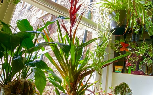Ken's listing on misterb&b - For the naturalist and naturist in You! 
