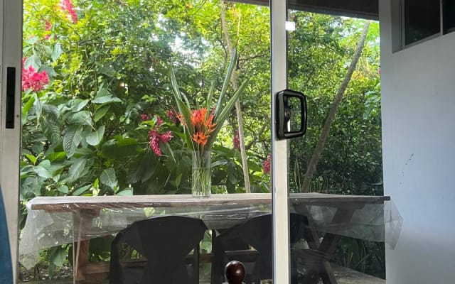 A Casa dos Macacos