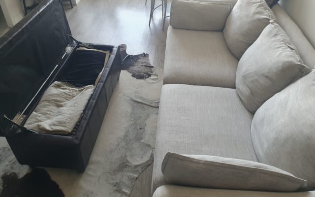 Renes Inserat auf misterb&b - Einzelbettcouch