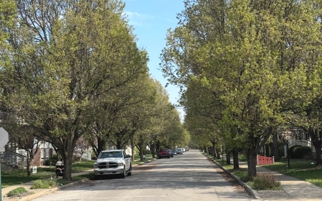 Bobs Inserat auf misterb&b - Genießen Sie unsere sicheren, von Bäumen gesäumten Straßen mit Gehwegen, die Sie mit allem verbinden. Nur einen Häuserblock von schönen Parks und Lieblingsrestaurants entfernt. Perfekt für Fitnessliebhaber und diejenigen, die einen sicheren, gemeinschaftsorientierten Zufluchtsort suchen.