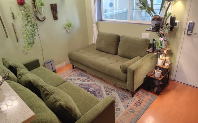 Chill, clean 1BR share, sofa space, meals incl, great for 20s/30s fun!