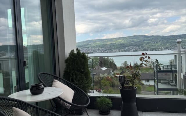 Zurigo con vista lago, terrazze, fitness - Foto 10
