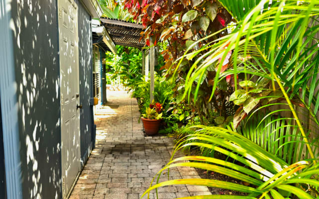 Secluded Tropical Oasis | Walk to Wilton Drive | Saltwater Pool - Picture 10