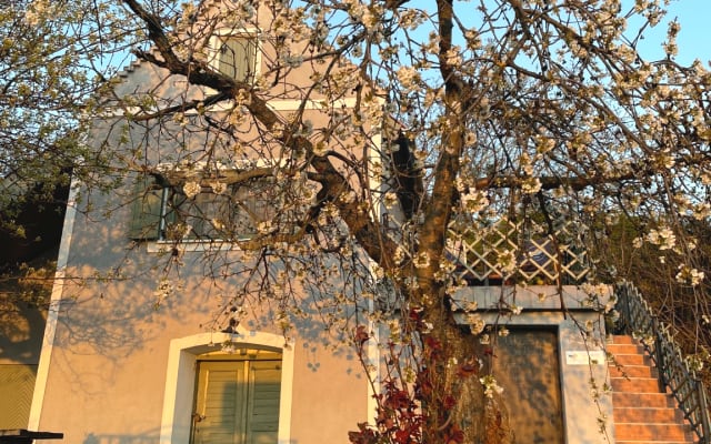 Itt és Most Szent György-hegy - Foto 2