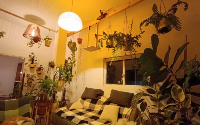 ph tipo casa, amplio y cálido, ubicado en la periferia de la ciudad. - Foto 4