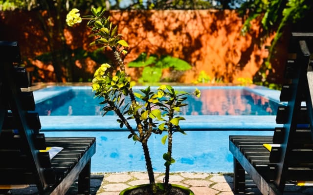 Richie's listing on misterb&b - View of the pool