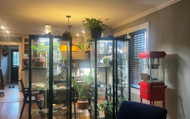 Idealer Bungalow im Plaza Midwood - Foto 8