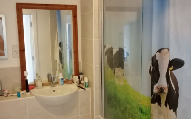 The Cats' room in Brighton city centre flat