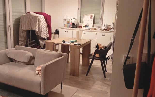 apartment 1 bedroom 1 bed or I sleep in the living room