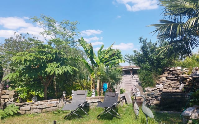 budha s garten