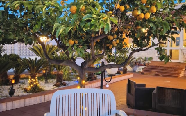 B&B Villa Daisy Conversano-Polignano a Mare - Picture 27