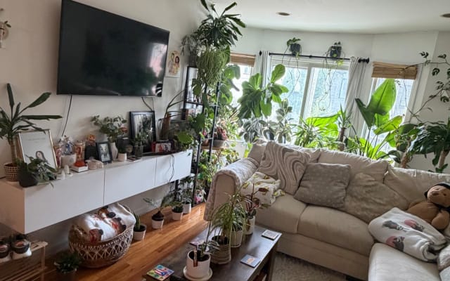 Gemütliche Wohnung mit eigenem Zimmer und Bad in Jersey City Heights - Foto 9