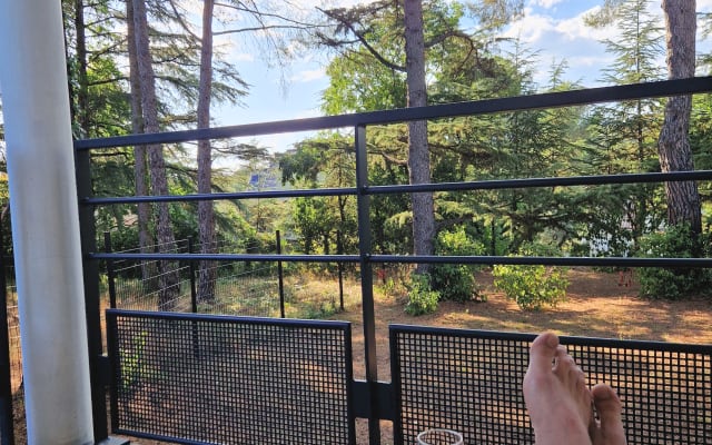 Forest view apartment, Aiguelongue district