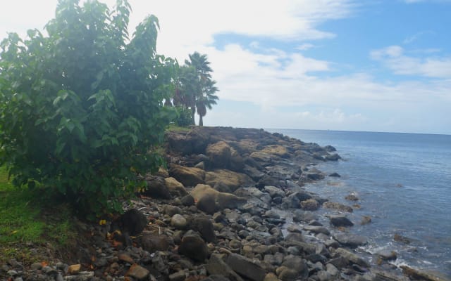 catamaran shared anchorage bay of anse mitan les trois ilets - Picture 9