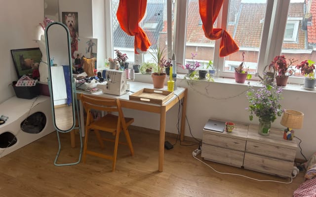 Spacious, quiet room in Anderlecht