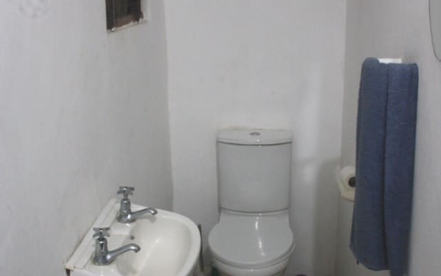 Dolphin Haven - Picture 7