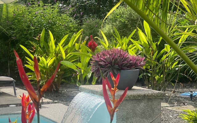 Anúncio de Mike em misterb&b - Piscina relaxante
