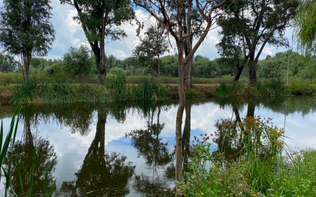 L'annuncio di Israel su misterb&b - Godetevi la natura