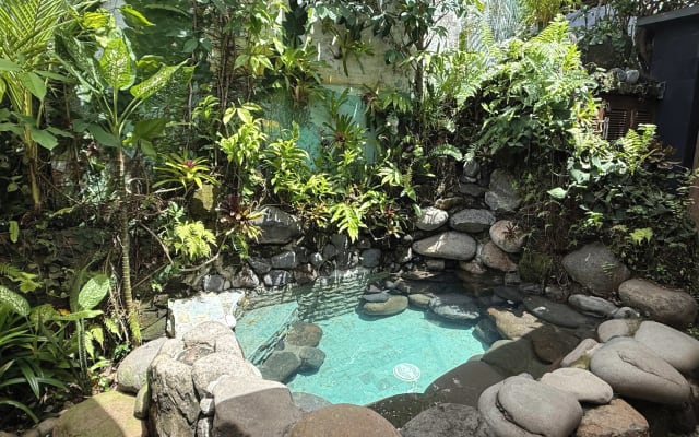 Your Queer Oasis in Ubud • Pool & Jungle Serenity