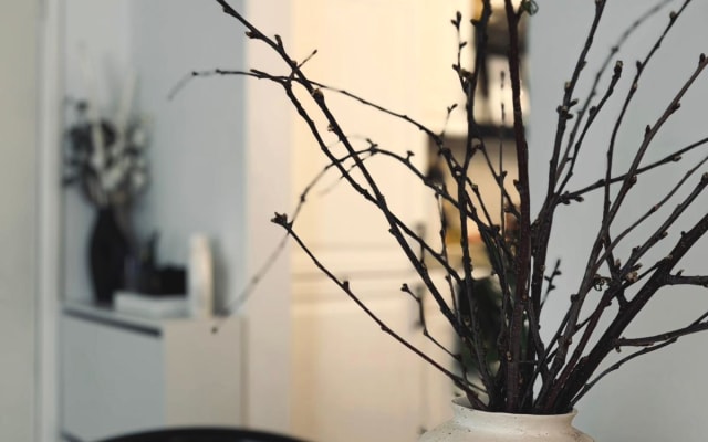 Stilvolle Wohnung in Oud-West mit Balkon - Foto 7