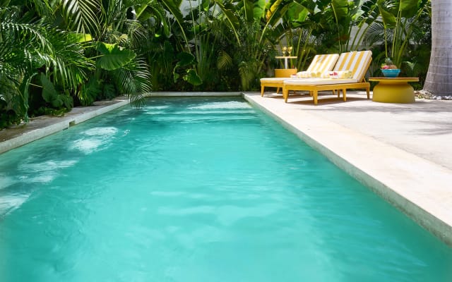Mid-Century Tropical Home | Ideal for longer stays