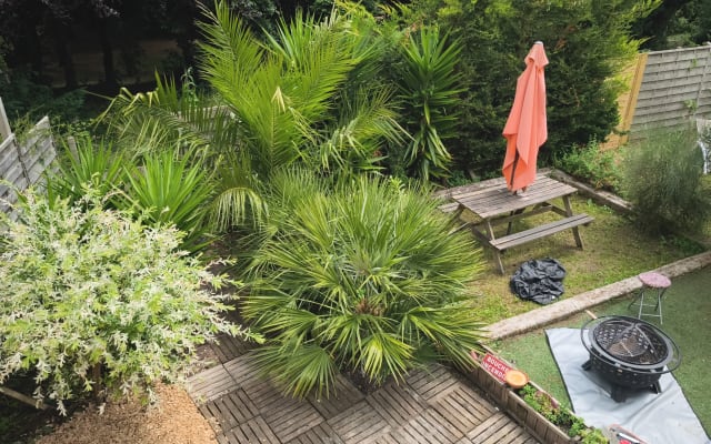 Room in a single-family home, backyard ++
250 m from the beach and...