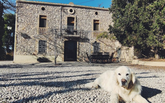 Marc y Àlex's listing on misterb&b - Simba at the Entrance 