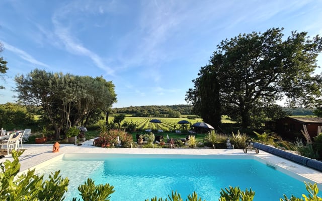 Studio Amid the Vineyards