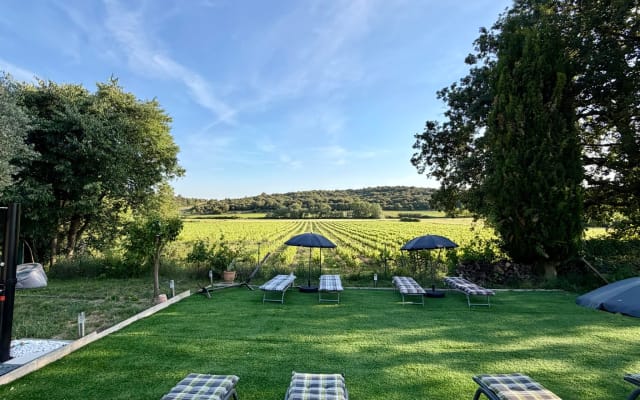 Studio Amid the Vineyards