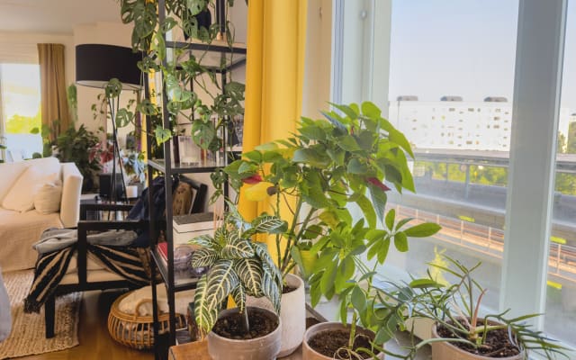 Habitación acogedora con baño propio en un piso moderno y espacioso: a 10 minutos de Söder - Foto 9