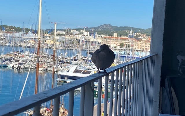Um apartamento muito bonito e luminoso situado no porto de Toulon