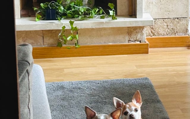 Quarto com casa de banho privativa em pleno coração do GAY Eixample de Barcelona  - Foto 9