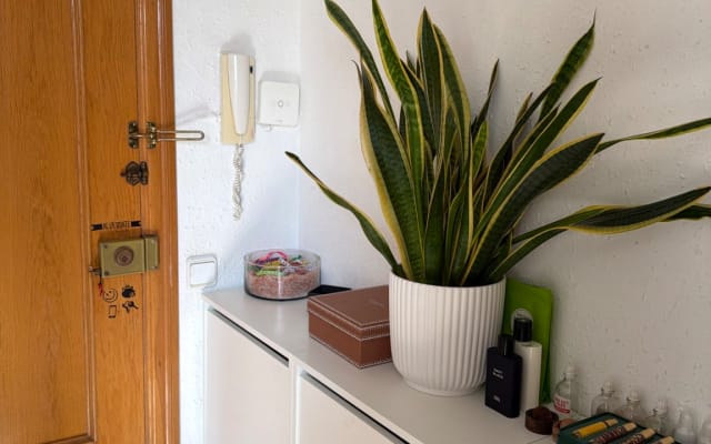 Gemütliches Penthouse im Herzen von Barcelona und der Schwulenszene...