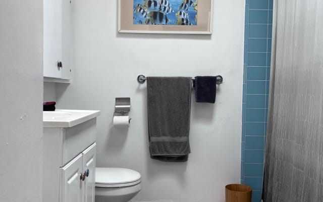 Comfortable Sofa Bed in West LA - Picture 8