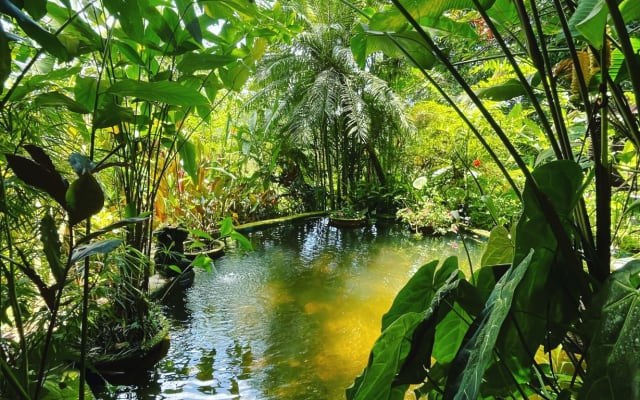 Jungle getaway outside Kuala Lumpur - The Summer House