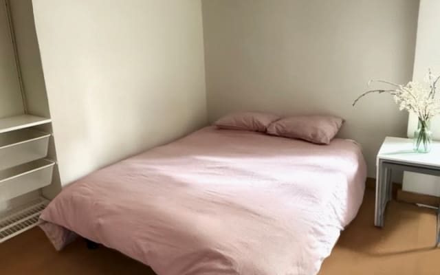 Large apartment with a huge bedroom for rent.