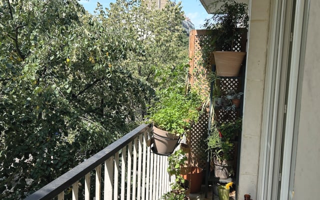 Spacious, bright studio nestled among the trees