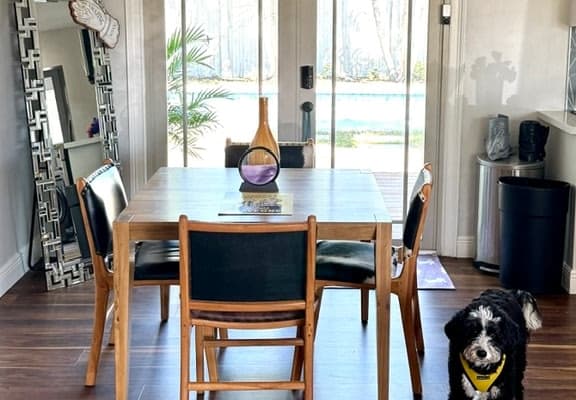 Animal House welcomes you to our Little House on the Prairie!