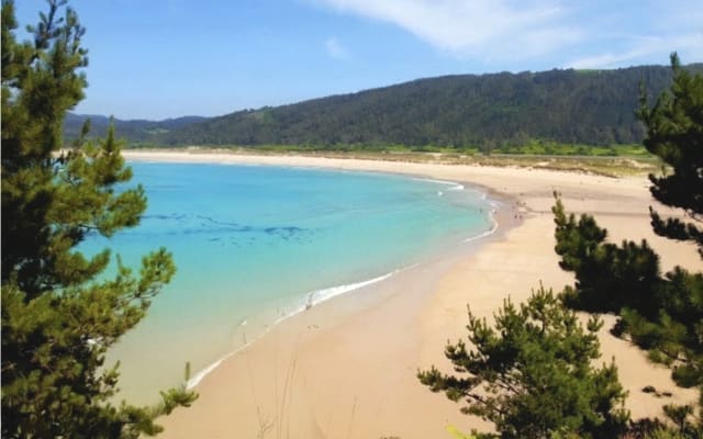 Hermoso piso acogedor y espacioso ubicado cerca del centro de Ferrol.
