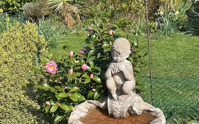 Habitación de huéspedes naturista - entorno verde