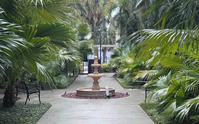 Camera tranquilla e confortevole nel cuore di South Tampa – Hyde Park